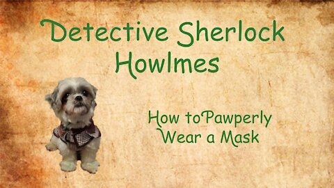 How to pawperly wear a mask!!