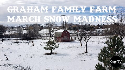 Graham Family Farm: March Snow Madness