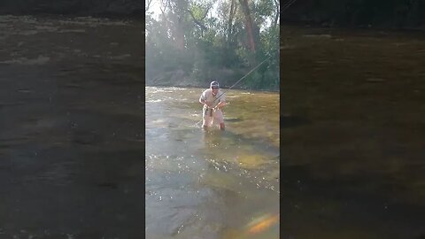 nice rainbow on the dry fly! #trout #wyoming #success #shortsvideo #shortsfeed #fishing #stream