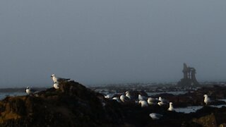 SOUTH AFRICA - Cape Town - Mouille Point standalones (Video) (JpB)