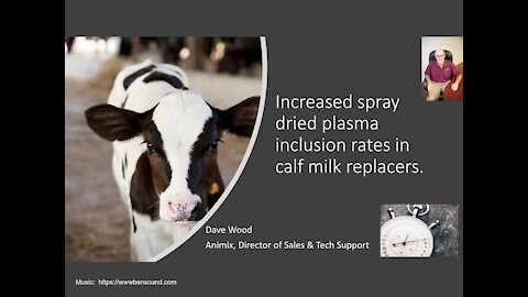 Increased spray-dried plasma inclusion rates in calf milk replacers.