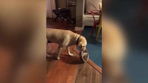 Cute Dog Won't Share Food