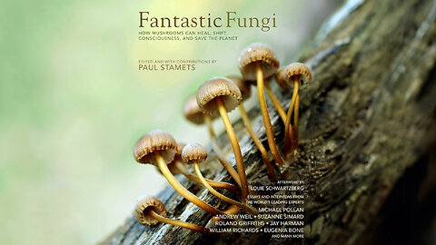 Fantastic Fungi: How Mushrooms Can Heal, Shift Consciousness, and Save the Planet