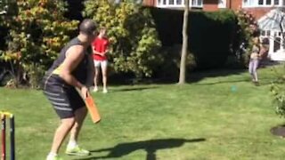 Jogo de críquete caseiro corre mal para apanha bolas