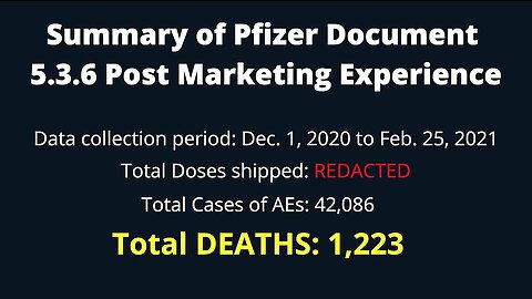 Dr. Jim Meehan | "Here's The Summary Of The First Dump Of The Pfizer Documents"