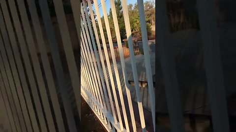 DOGs Saying Goodbye | Fence Goodbye Neighbor Dog | Until Tomorrow | Dog Disneyland D.I.Y in 4D