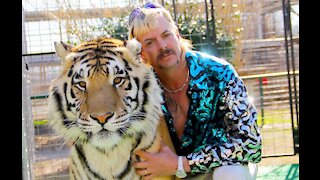 Joe Exotic's legal team are set 'to ask Donald Trump to pardon him'