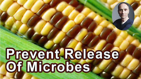 Urgent Imperative: Prevent Release Of Genetically Engineered Microbes - Jeffrey M. Smith
