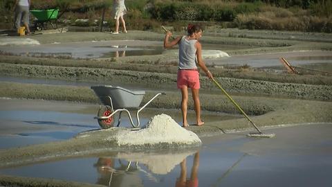 The Salt Marshes of Guérande, Brittany France