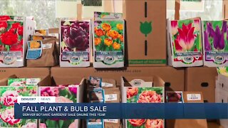 Denver Botanic Gardens' fall plant and bulb sale today