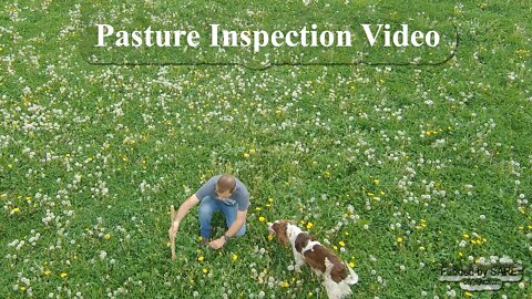 Pasture Inspection Video