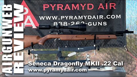 AIRGUN REVIEW - Seneca Dragonfly MKII - .22 Cal, Multi-Shot, Pump Pneumatic, Bolt Action, Review