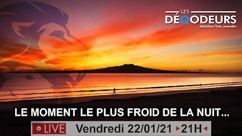 Le premier Live de l'ère de la transition ! (live du 22 janvier)