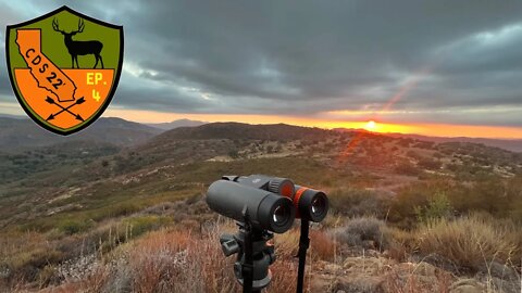 Early Season Archery Mule Deer.