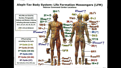 DR MONZO INTRODUCTION TO ALEPH TAV BODY SYSTEM PART 1