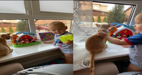 baby and Cat Fun and Cute - Funny Baby Video #cutebaby #funnybaby