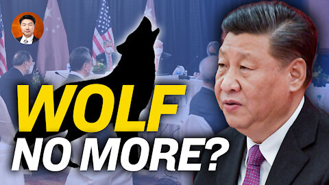 No More Wolf? Xi Jinping Wants Loveable, Respectable China?; Tesla In China: Fabricated Act