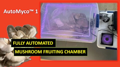 AutoMyco™ 1 - Fully Automated Mushroom Fruiting Chamber