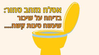 בדיחה על שיכור ואסלה מזהב