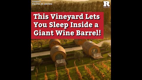 This Vineyard Lets You Sleep Inside a Giant Wine Barrel!