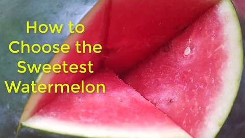 Simple tips on how to select the best watermelon