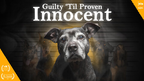"Guilty 'Til Proven Innocent" OFFICIAL Trailer