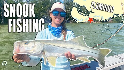 A Christmas Fishing Adventure - Searching for Inshore Snook