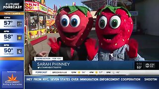 Florida Strawberry Festival kicks off Thursday in Plant City