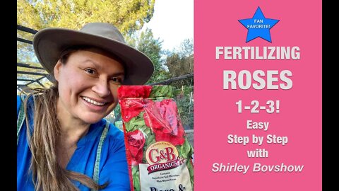 ROSE GARDENING TIPS 🌹WHEN to FEED ROSES 🌹 HOW to Feed Roses with Organic Rose Food🌹Shirley Bovshow