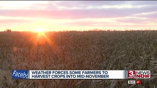 Unpredictable weather forcing farmers to harvest into Mid-November