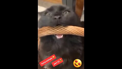 Funny animals part 25 😆 | funny pets | cute animals | cute pets | funny videos | try not to laugh 😄