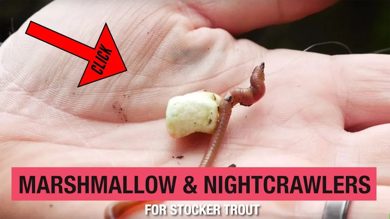 How To Fish For Trout Using Marshmallows & Nightcrawlers (100+