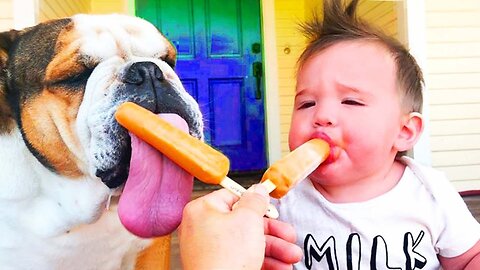 Funniest Baby Playing With Pet (Adorable Baby Talking To Dogs) || Cool Peachy
