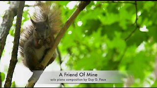 A Friend Of Mine - Relaxing Piano Music by Guy Faux and Happy Video of Kittens & Playful Puppy Dogs.