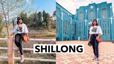 Meghalaya's Enchanting Sacred Forest! Exploring SHILLONG | Mawphlang Sacred Forest | Ep #5