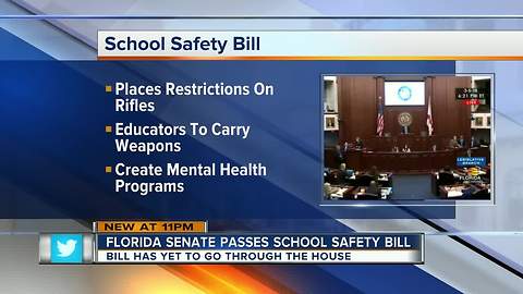 FL Senate passes Marjory Stoneman Douglas High School Public Safety Act