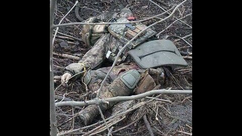 War in Ukraine Russia Terrorist part 227