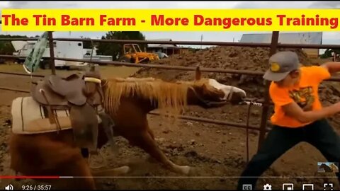 Hook The Wild Horse - Is He Being Desensitized or Traumatized? How To Make A Dangerous Horse