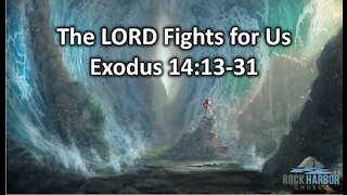 The Lord Fights for Us - Exodus 14:13-31