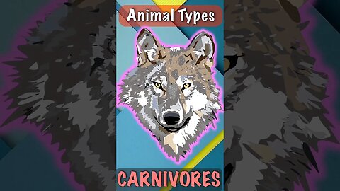 Wolf Apex Carnivores Animals | Top Predators | Full Video #shorts #wolf