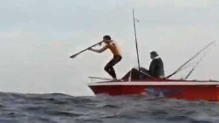 Pescador falha mergulho de cabeça
