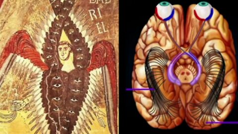 Visioni Reali #6.I Cherubini, il nervo ottico e la corona di spine.