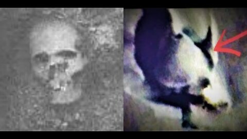 DISCOVERY OF TITANIC☠SKULL☠NEAR ICY BURIAL MOUND IN ANTARCTICA NOW CONFIRMS ANCIENT RACE OF GIANTS~!