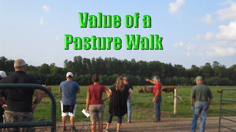 Value of a Pasture Walk