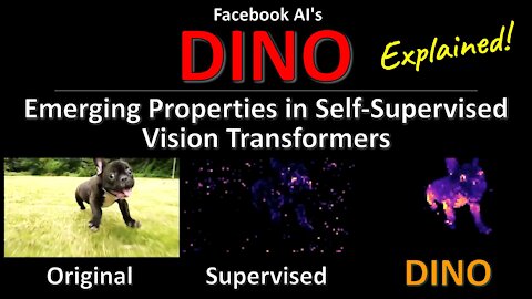 DINO: Emerging Properties in Self-Supervised Vision Transformers (Facebook AI Research Explained)
