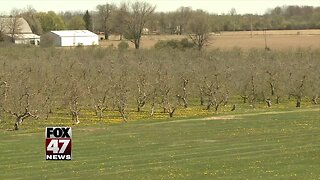 Apple farmers prepare for freeze, don't want repeat of 2012