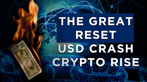 The GREAT RESET: The Plot to Crash USD & Usher in Digital Money/ Cryptocurrency/ NWO. How to Prepare