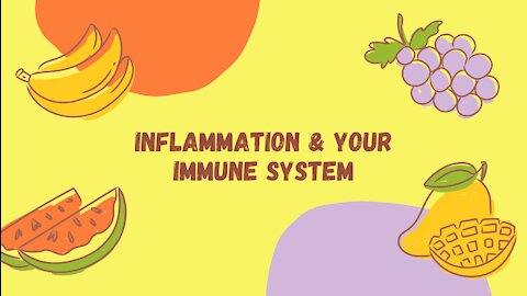 Inflammation & Your Immune System