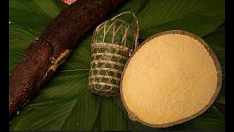 Cassava flour from Bragança is the best in Brazil.