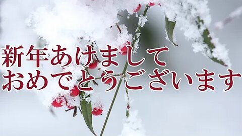 🎍新年明けましておめでとうございます🐰